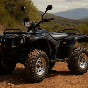 ATV - 4 ΤΡΟΧΑ ΒΕΝΖΙΝΟΚΙΝΗΤΑ